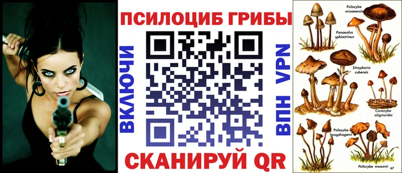блэк спрут рабочий сайт  Новоуральск  Галлюциногенные грибы GOLDEN TEACHER 